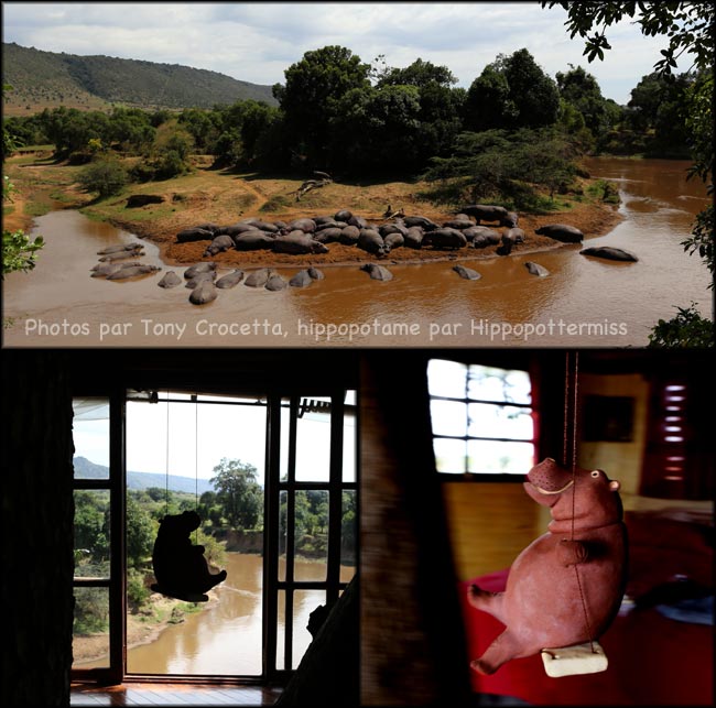 My hippo overlooking the Mara River in Kenya.