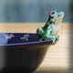 grenouille assis sur le bord d'un petit saladier