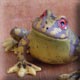 hand modelled ceramic frog