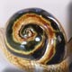ceramic snail
