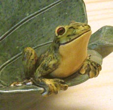 grenouille sur une feuille